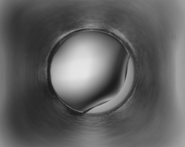 X0000089681222200707201653