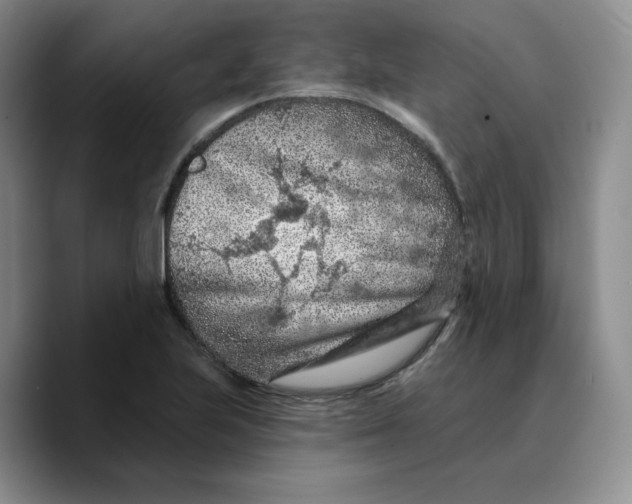 X0000089681223200707201653