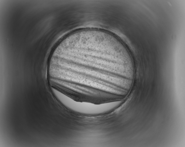 X0000089681224200707201653