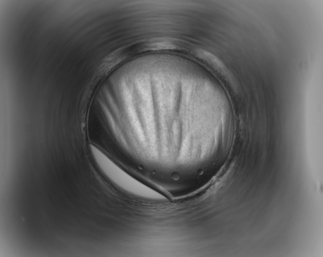 X0000089681225200707201653