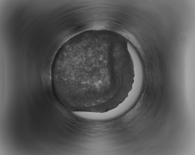 X0000089681226200707201653