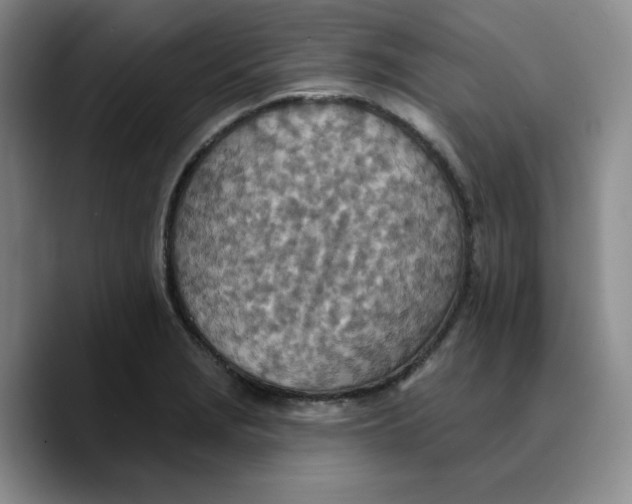 X0000089681229200707201653