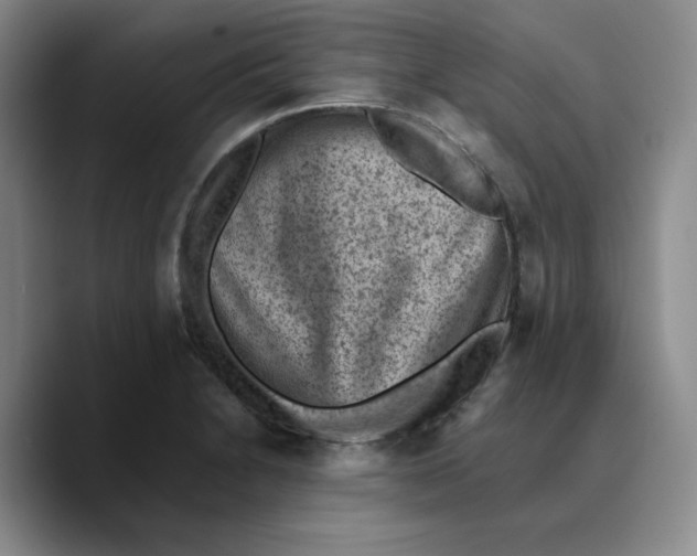 X0000089681230200707201653