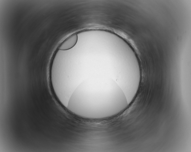 X0000089681231200707201653