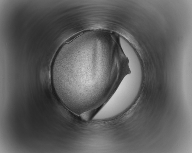 X0000089681234200707201653