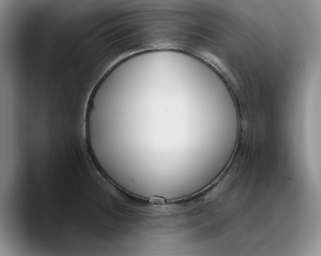 X0000089681236200707201653