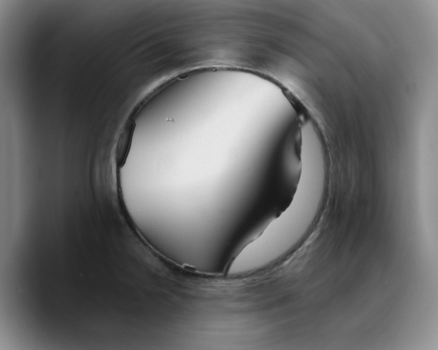 X0000089681238200707201653