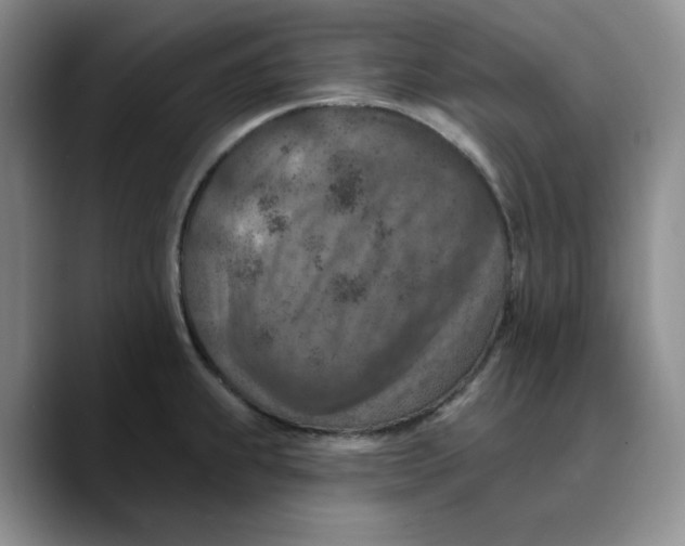 X0000089681239200707201653