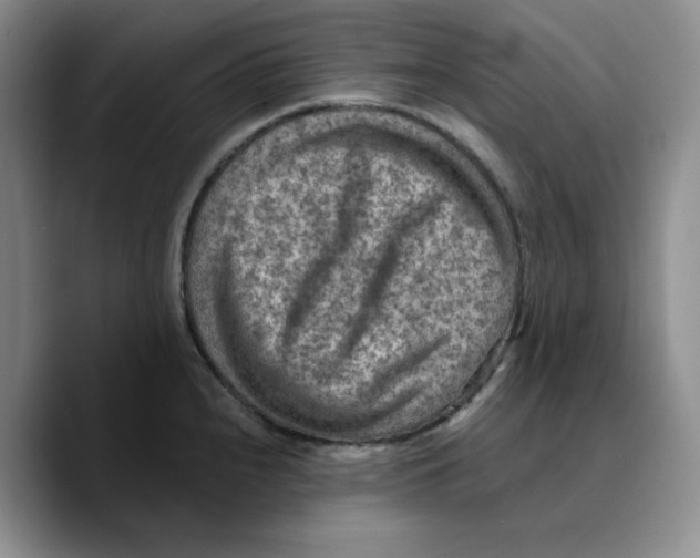 X0000089681240200707201653
