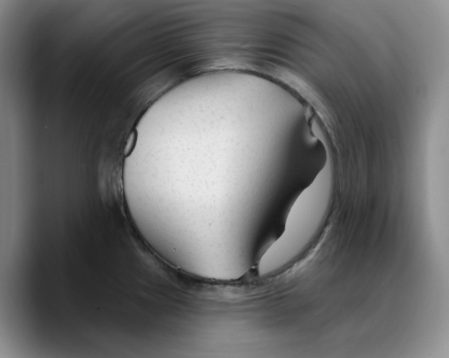 X0000089681241200707201653
