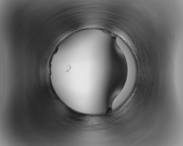 X0000089681242200707201653