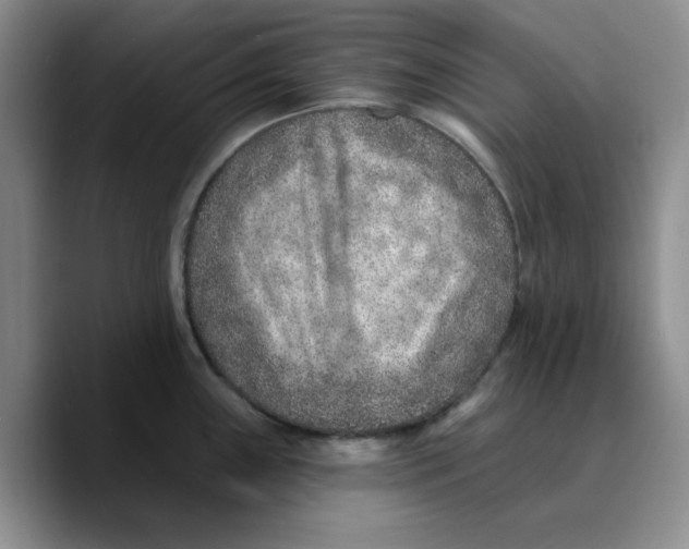 X0000089681243200707201653