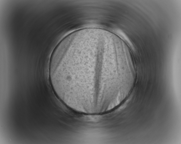 X0000089681244200707201653