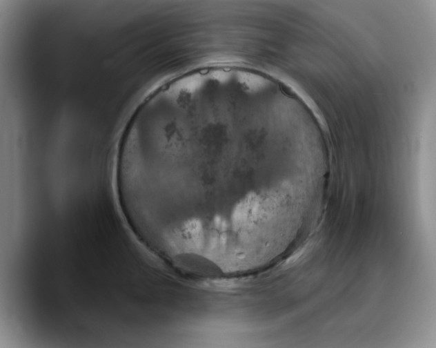X0000089681245200707201653
