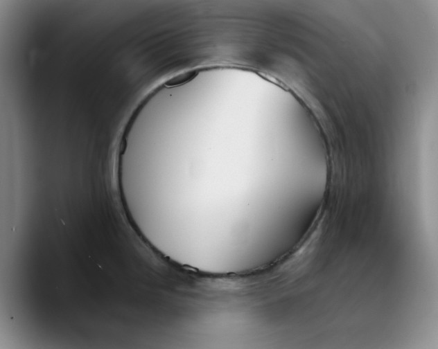 X0000089681246200707201653