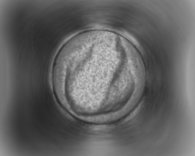 X0000089681247200707201653