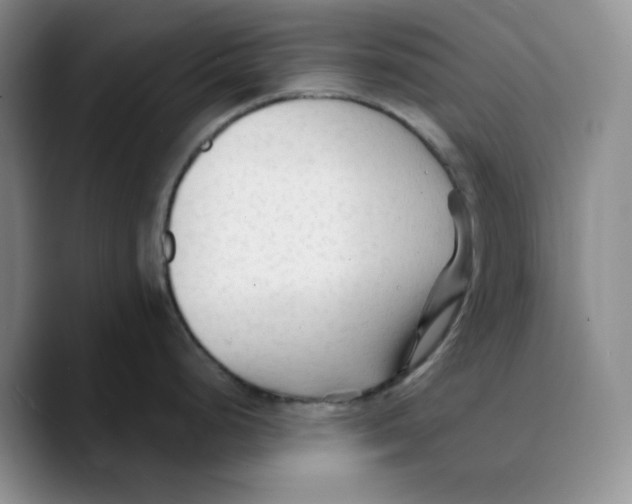 X0000089681248200707201653