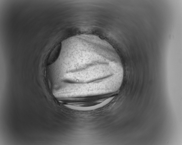 X0000089681249200707201653