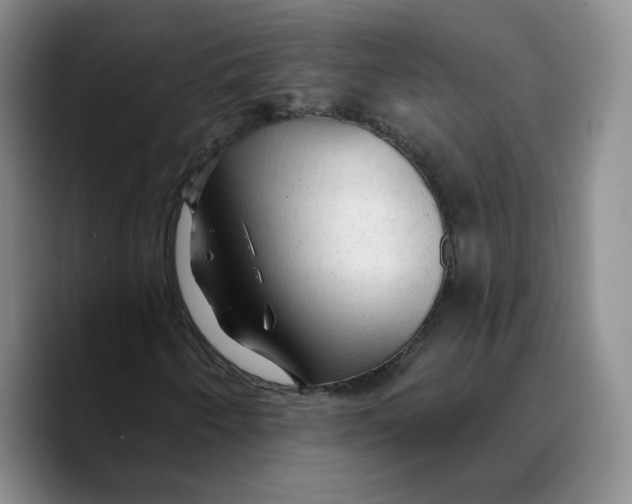 X0000089681250200707201653