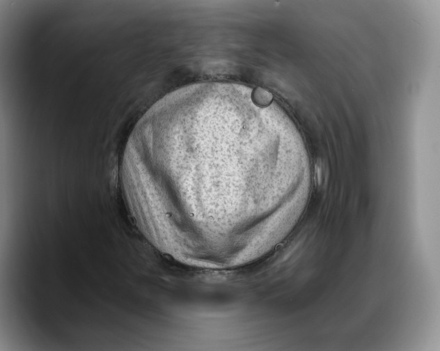 X0000089681251200707201653