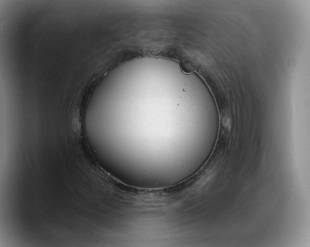 X0000089681252200707201653