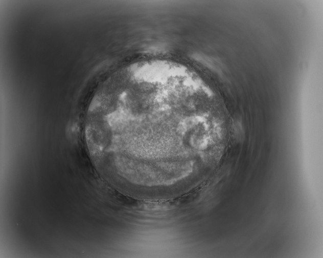 X0000089681254200707201653