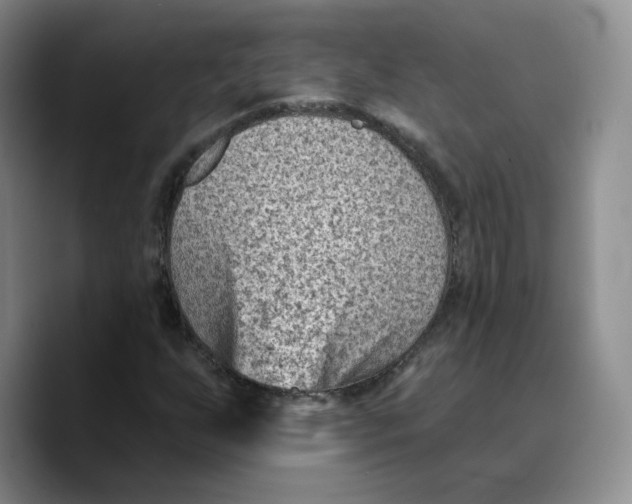 X0000089681255200707201653