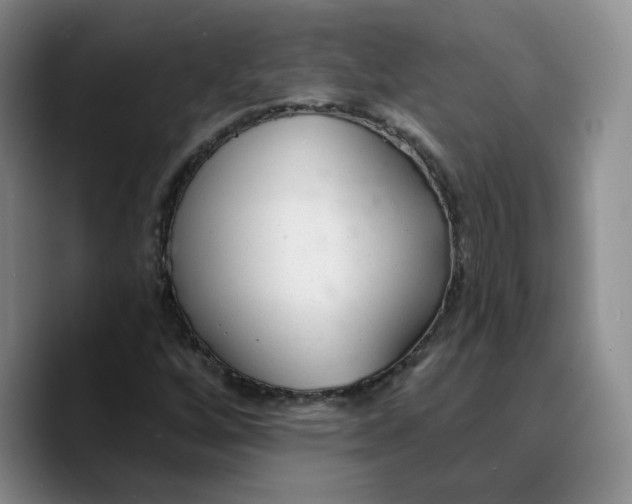 X0000089681256200707201653