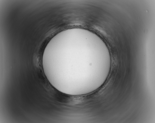 X0000089681258200707201653