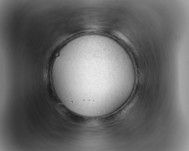 X0000089681259200707201653