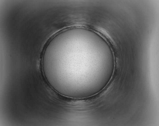 X0000089681260200707201653