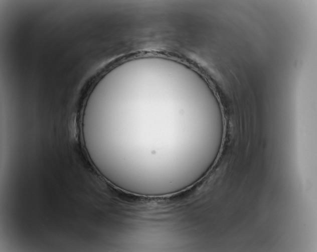 X0000089681262200707201653