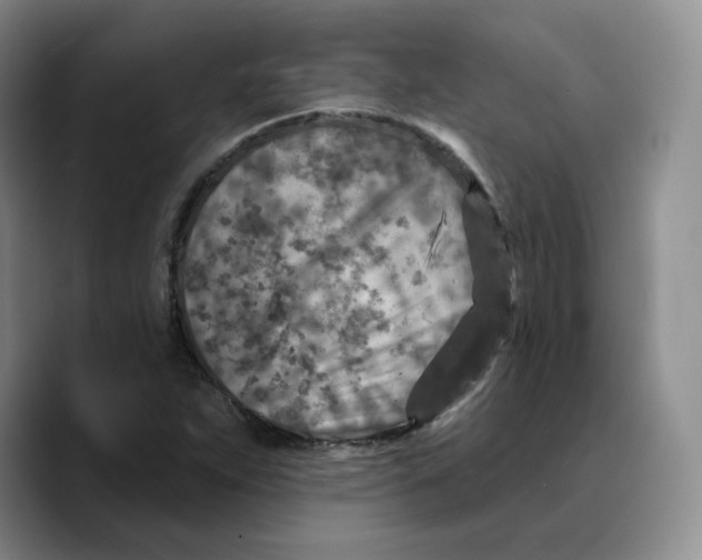 X0000089681263200707201653