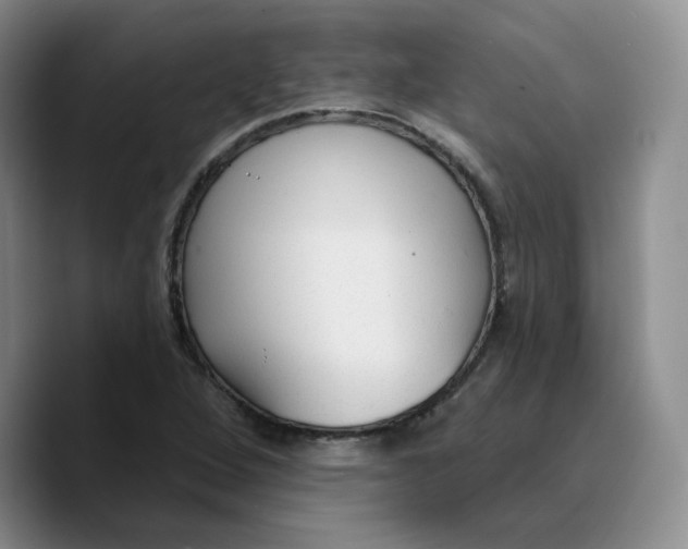 X0000089681264200707201653