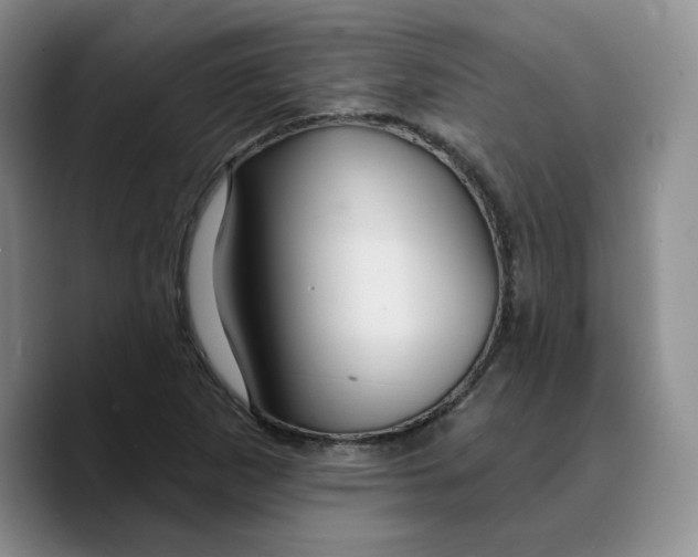 X0000089681265200707201652