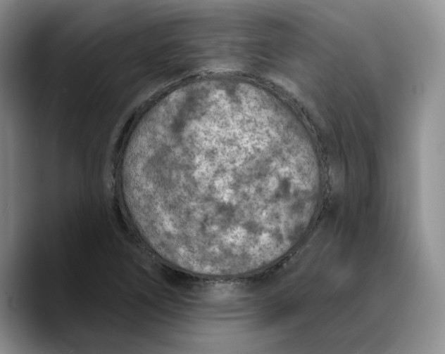 X0000089681266200707201652