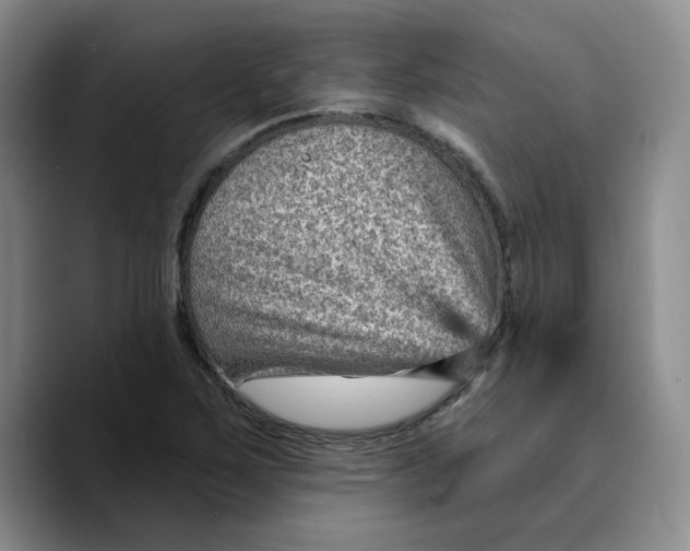 X0000089681267200707201652