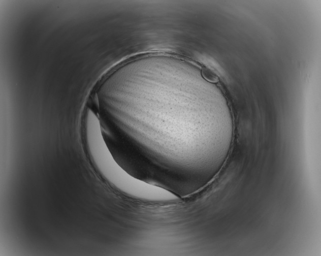 X0000089681268200707201652