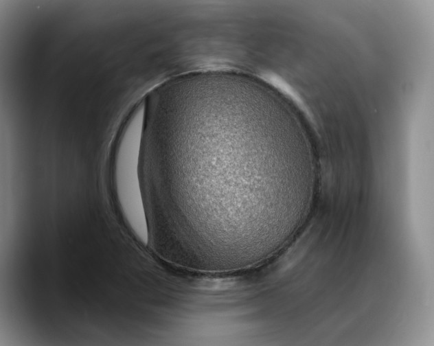 X0000089681269200707201652