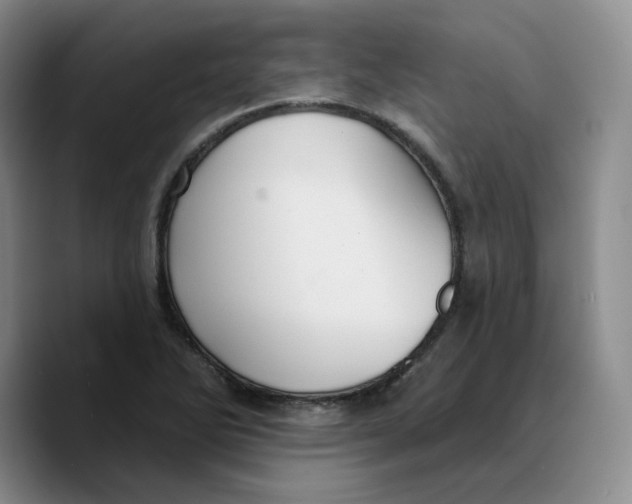 X0000089681270200707201652