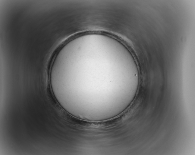 X0000089681271200707201652