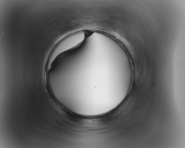 X0000089681272200707201652