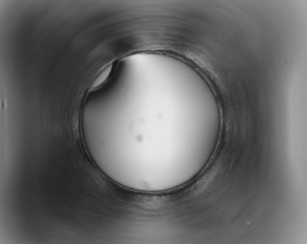 X0000089681273200707201652