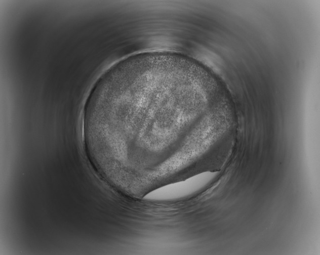 X0000089681275200707201652