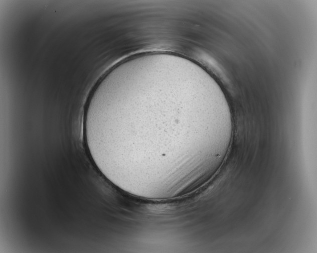 X0000089681276200707201652