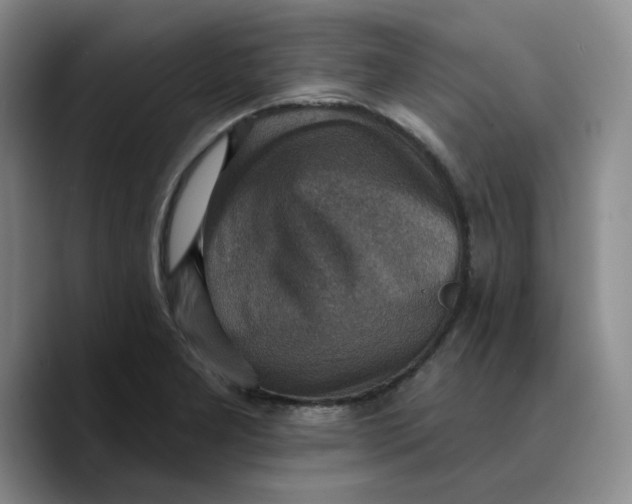 X0000089681277200707201652