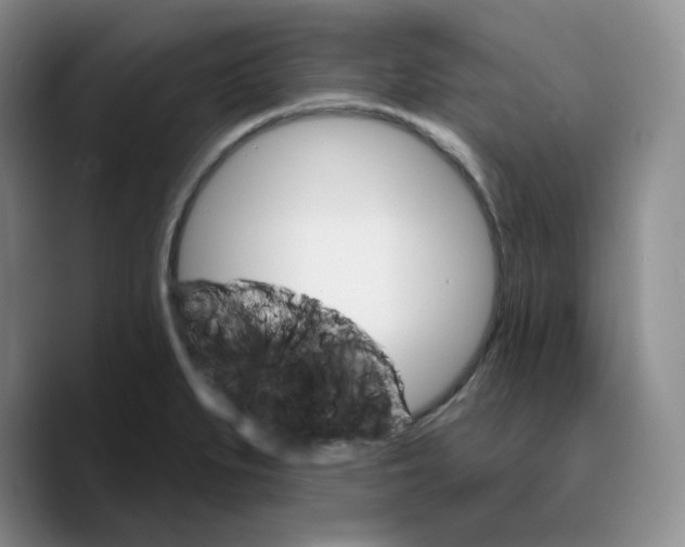 X0000089681279200707201652