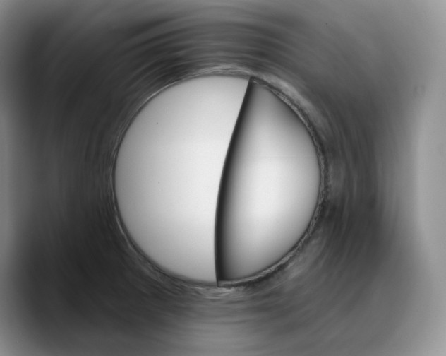 X0000089681281200707201652