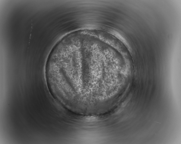 X0000089681283200707201652