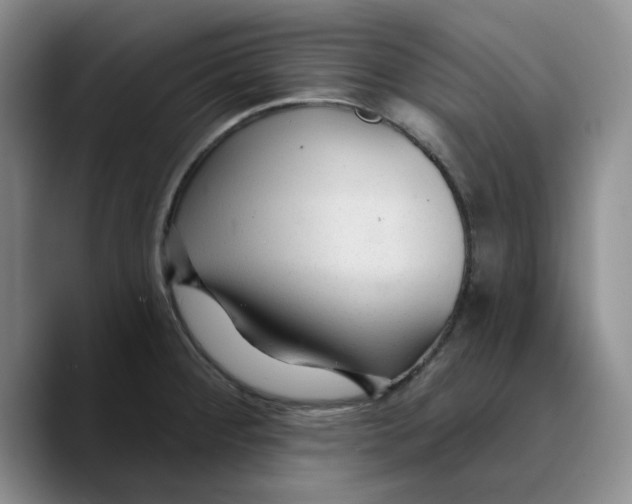 X0000089681284200707201652